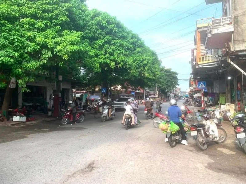 Bán đất 72m² tặng nhà cấp 4 Chu Văn An, Hải Phòng