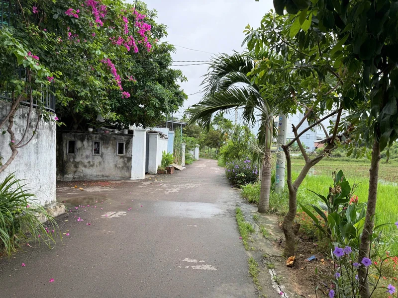 Bán lô đất Tuy Phước 138,7m² full thổ cư 1 tỷ 2