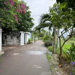 Bán lô đất Tuy Phước 138,7m² full thổ cư 1 tỷ 2 - Ảnh thu nhỏ 1
