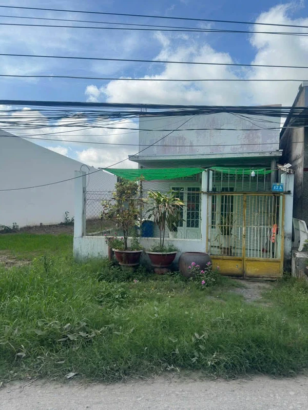 Bán nhà cấp 4 mặt tiền 95m² Tân Chánh, Long An