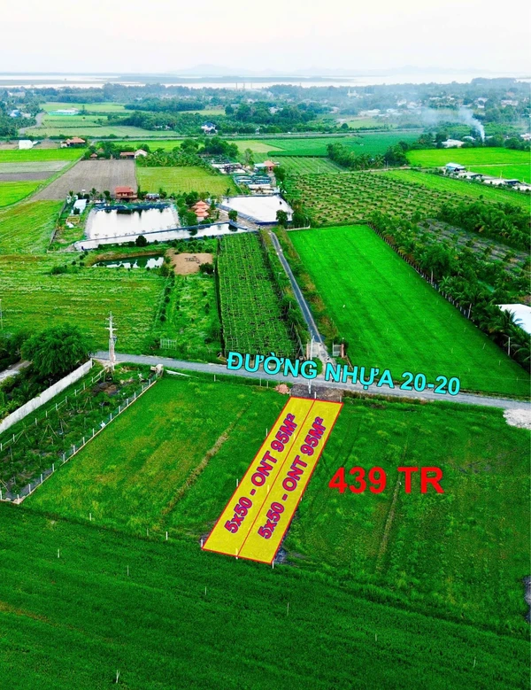 Bán đất 250m² mặt đường Dương Minh Châu, Tây Ninh