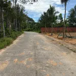 Bán đất 110m2 có thổ cư mặt đường khu Tượng, gần đường lớn. Giá chỉ 1,6 tỷ - Ảnh thu nhỏ 14