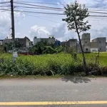 Bán đất Mỹ Hạnh 10x29 (290m²) giá 2,55 tỷ - Ảnh thu nhỏ 2
