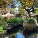 Chuyển nhượng nhà mặt phố Suối Hội Phú Pleiku: 1250m2, sẵn hạ tầng cao cấp, sổ hồng chính chủ - Ảnh thu nhỏ 20