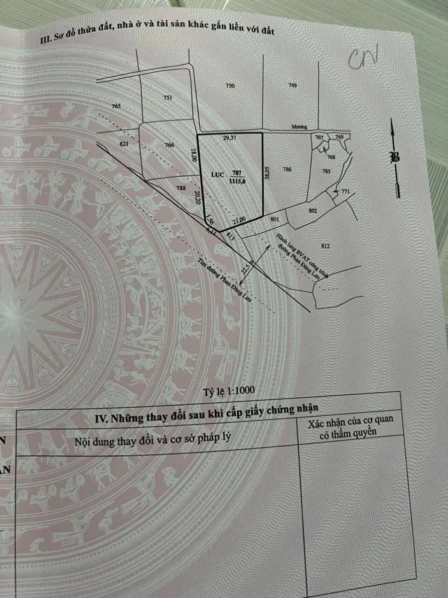 Bán đất nông nghiệp mặt tiền Phan Đăng Lưu Ninh Thuận 1.900m² - Ảnh thu nhỏ 3