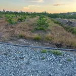 Bán đất 1000m2 (11x90) xã Tân Thành, Thủ Thừa, Long An giá 490 triệu - Ảnh thu nhỏ 5