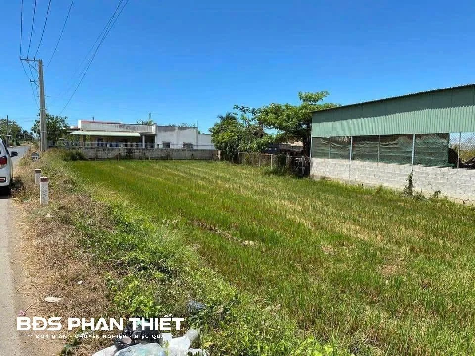 Bán đất Kim Bình 877.5 m² giá 2.1 tỷ - Ảnh thu nhỏ 2