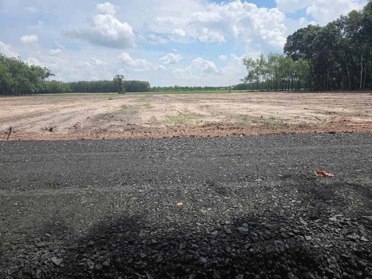 Đất mặt tiền Giồng Cà, Bình Minh, Tây Ninh (20x50m hoặc 10x50m) - Ảnh thu nhỏ 3