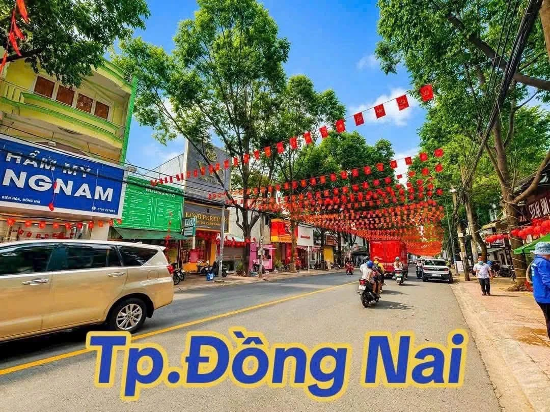 Bán đất biệt thự mini 115.9m2 gần Vincom Biên Hòa 6 tỷ 300 - Ảnh thu nhỏ 3