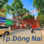 Bán đất biệt thự mini 115.9m2 gần Vincom Biên Hòa 6 tỷ 300 - Ảnh thu nhỏ 3