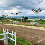 Bán đất thổ cư 6x24 giá 299 triệu tại Đinh Văn, Lâm Hà, Lâm Đồng - Ảnh thu nhỏ 1