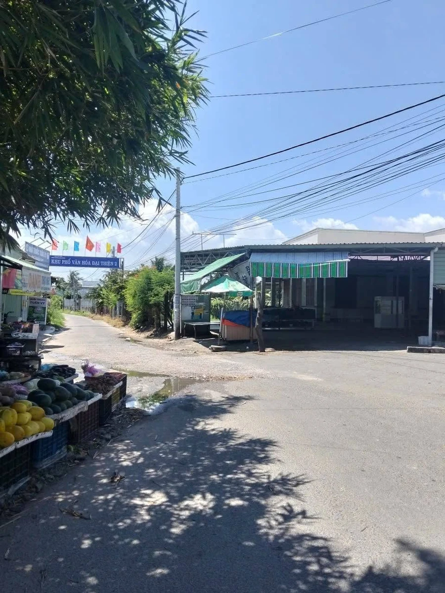 Bán đất thổ cư 100m² gần đường Đặng Văn Lãnh, Hóc Môn - Ảnh thu nhỏ 3