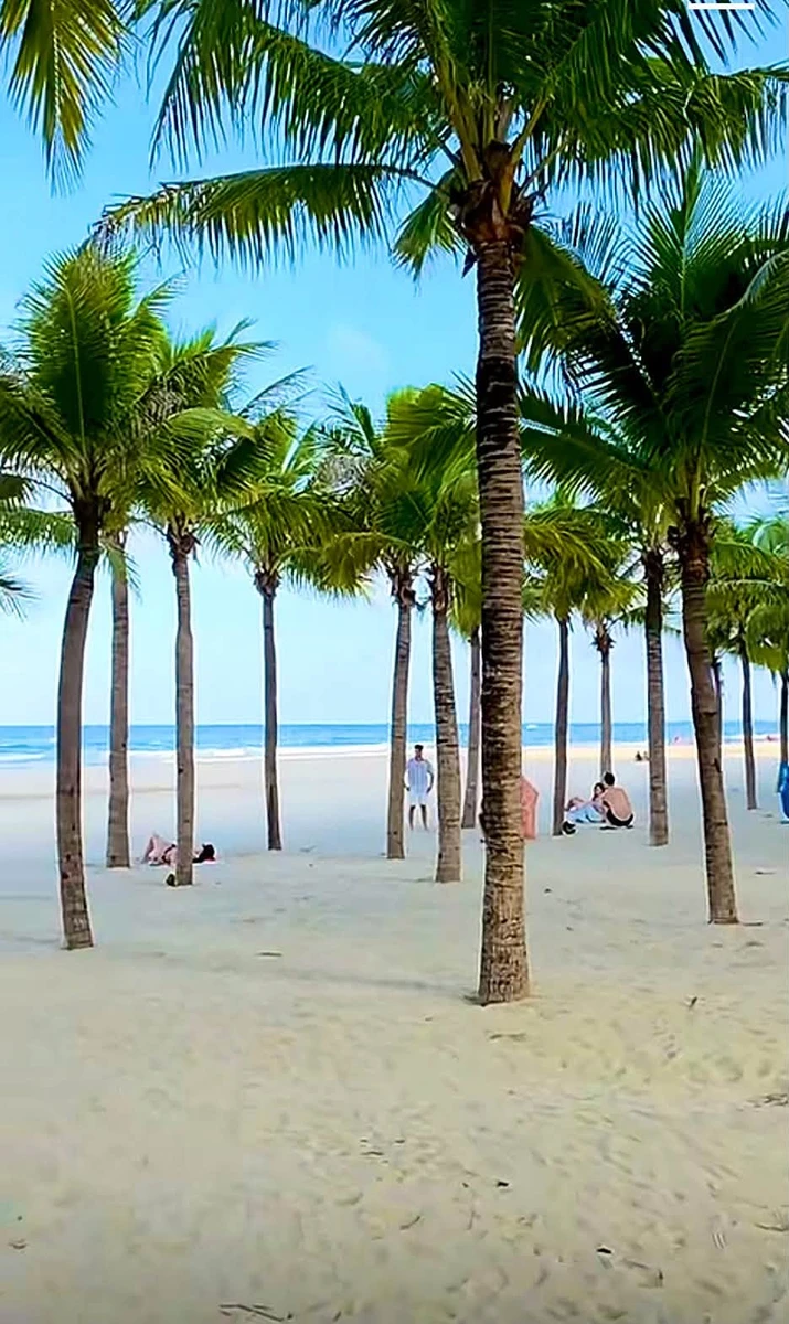 Bán lô đất 200m2 mặt tiền đường Minh Mạng, Đà Nẵng - Ảnh thu nhỏ 3