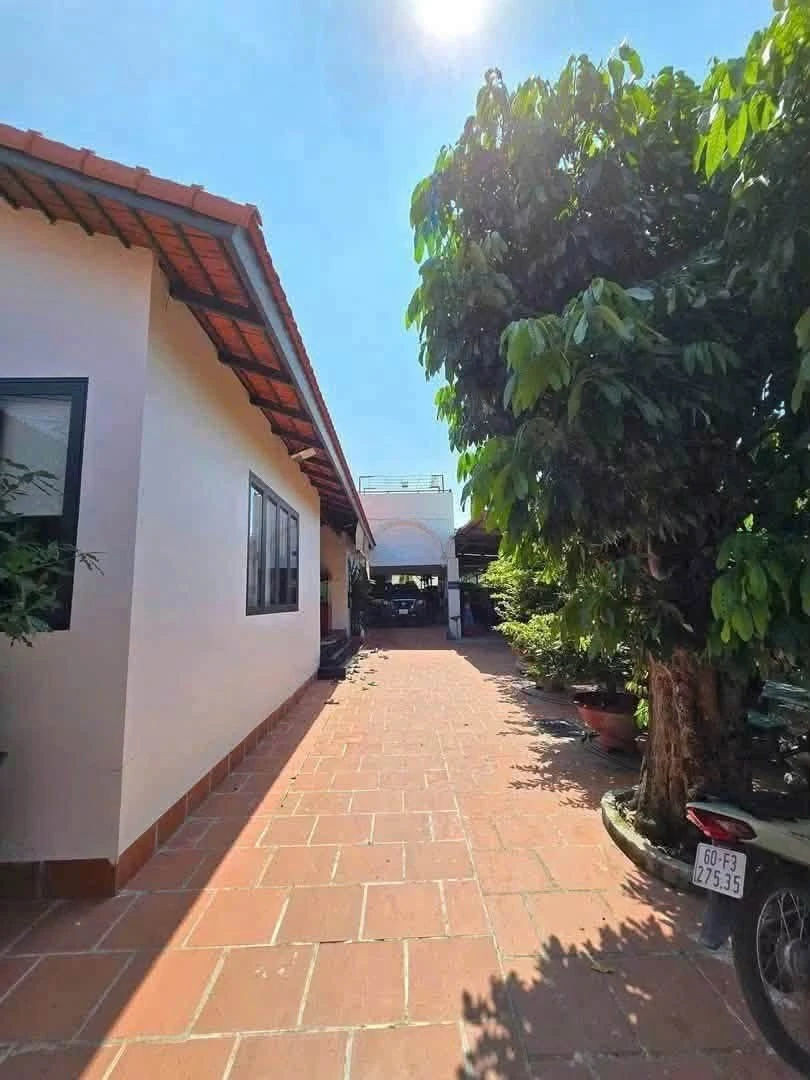 Bán nhà vườn 480m² giá rẻ Phường Hồ Nai Quận 7 - Ảnh thu nhỏ 2
