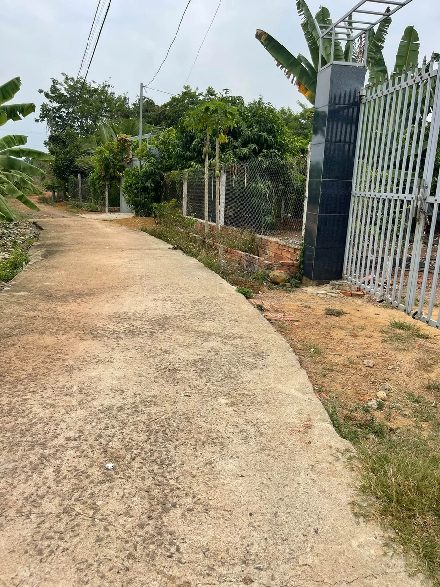 Bán đất 8x68m hai mặt tiền Vĩnh An, Đồng Nai 670 triệu - Ảnh thu nhỏ 4