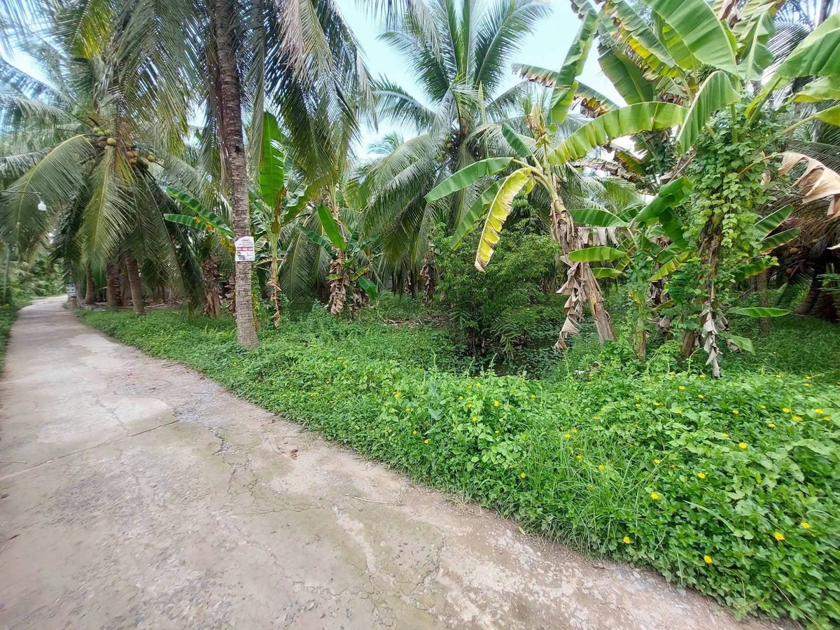 Bán 600m² đất Phường An Hội, Vĩnh Long, Bến Tre - Ảnh thu nhỏ 2