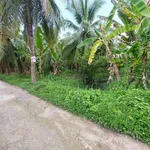 Bán 600m² đất Phường An Hội, Vĩnh Long, Bến Tre - Ảnh thu nhỏ 2