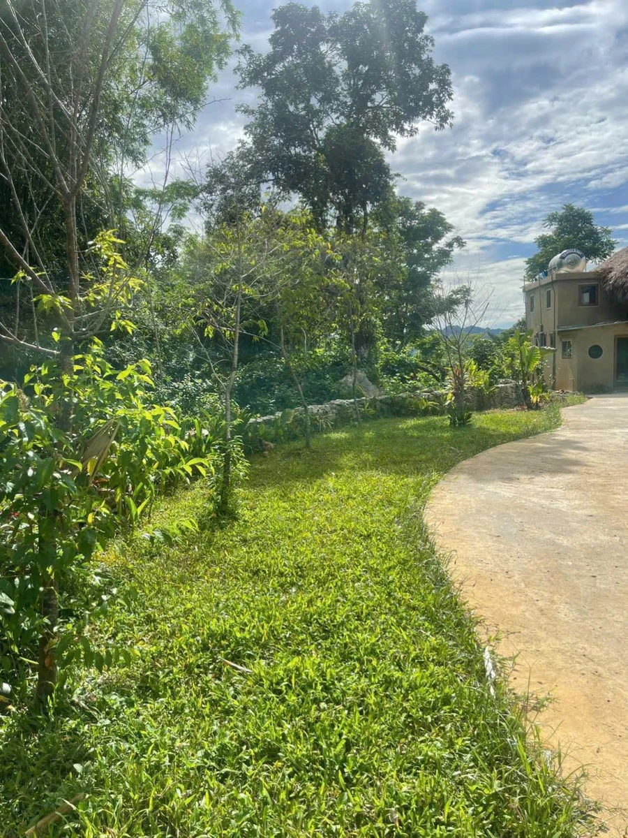 Bán homestay 2.600m2 view núi Tân Lạc Hòa Bình - Ảnh thu nhỏ 5
