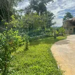 Bán homestay 2.600m2 view núi Tân Lạc Hòa Bình - Ảnh thu nhỏ 5
