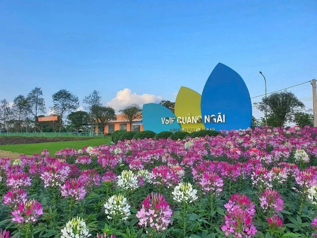 Bán đất 132m² gần KCN VSIP Quảng Ngãi, 1.2 tỷ - Ảnh thu nhỏ 2