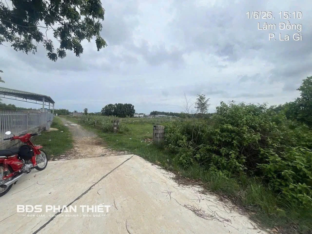 Bán đất Phan Thiết 498 m², 1 tỷ 950 triệu - Ảnh thu nhỏ 4