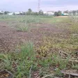 Đất đường nhựa DH3 Gò Công Đông, Tiền Giang, 1.315m2 200m2 thổ cư, tiền làm nhà vườn, giá 1,3 tỷ TL - Ảnh thu nhỏ 14