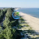 Đất khu đấu giá Biển Ông Rạng Long Phụng Quảng Ngãi, diện tích đa dạng - Ảnh thu nhỏ 4