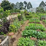 Bán đất nền Tân Tiến Phú Mỹ 210m2 giá 700 triệu - Ảnh thu nhỏ 2