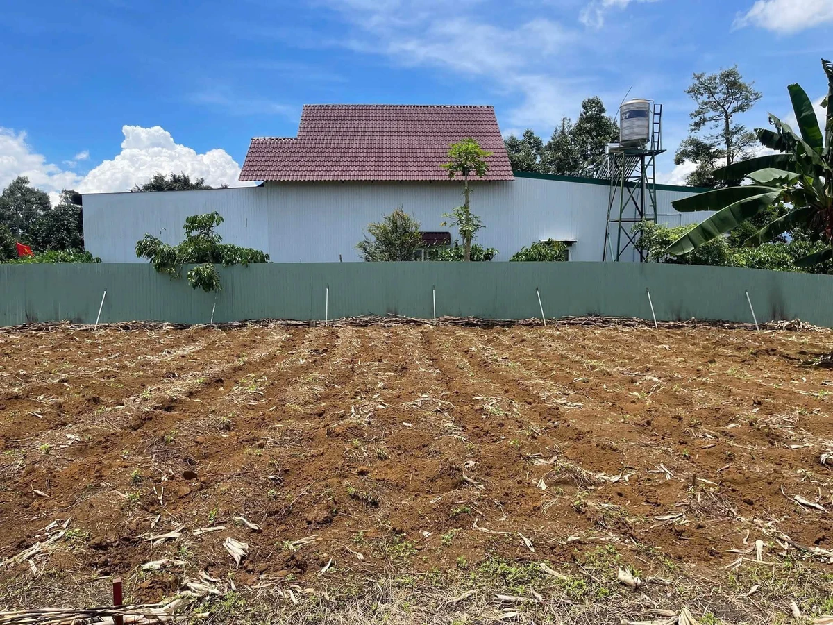 Bán đất full thổ cư 104m2 ở Lộc An Bảo Lâm 550 triệu - Ảnh thu nhỏ 2