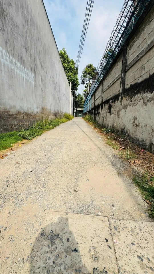 Bán đất 302m2 (180m2 thổ cư) gần điện máy Chợ Lớn, phường Bến Tre, giá 1,7 tỷ - Ảnh thu nhỏ 4