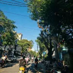 Mặt đường Cát Dài (Hai Bà Trưng, Hải Phòng) ngay cổng trường Nguyễn Văn tố. Vị trí đẹp, kinh doanh - Ảnh thu nhỏ 10