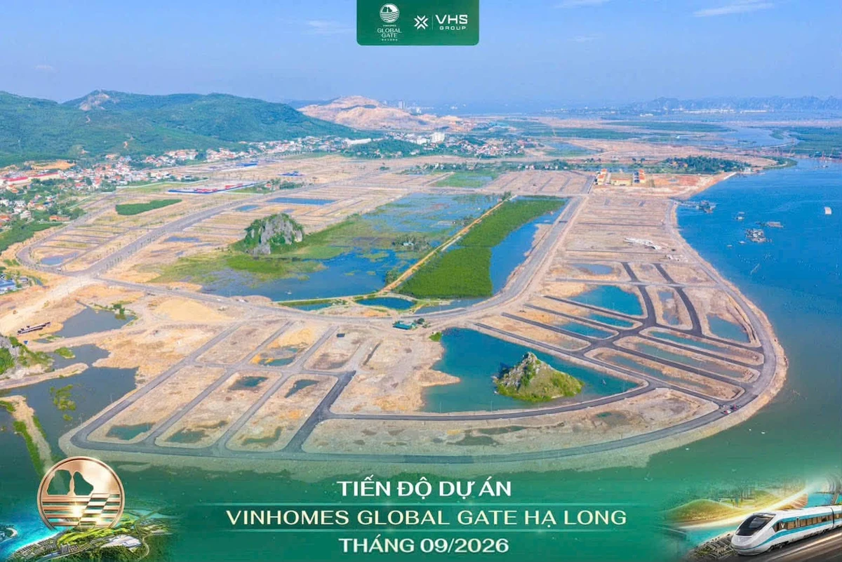 Bán biệt thự song lập 4 tầng 164m² hơn 8 tỷ Vinhomes Global Gate - Ảnh thu nhỏ 4