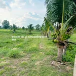 Bán đất 2600m² 2 mặt tiền Hàm Liêm, Lâm Đồng - Ảnh thu nhỏ 2