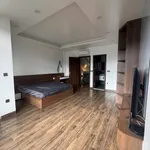 Cho thuê nhà phố Ecopark Hải Dương 100m², 18 triệu/tháng - Ảnh thu nhỏ 2