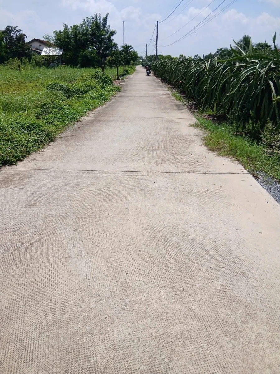 Bán đất thổ cư 10x32m (320m2) xã Dương Xuân Hội, Châu Thành, Long An giá 799 triệu - Ảnh 1