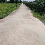 Bán đất thổ cư 10x32m (320m2) xã Dương Xuân Hội, Châu Thành, Long An giá 799 triệu - Ảnh thu nhỏ 1