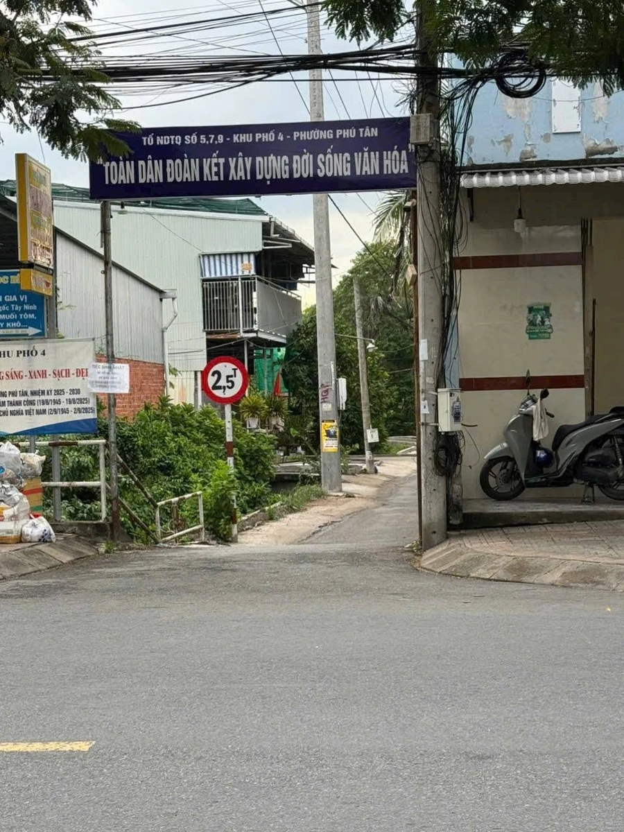Bán nền đất 6m x 56m (336m²) Tú Điền, Bến Tre, 990 triệu - Ảnh thu nhỏ 2