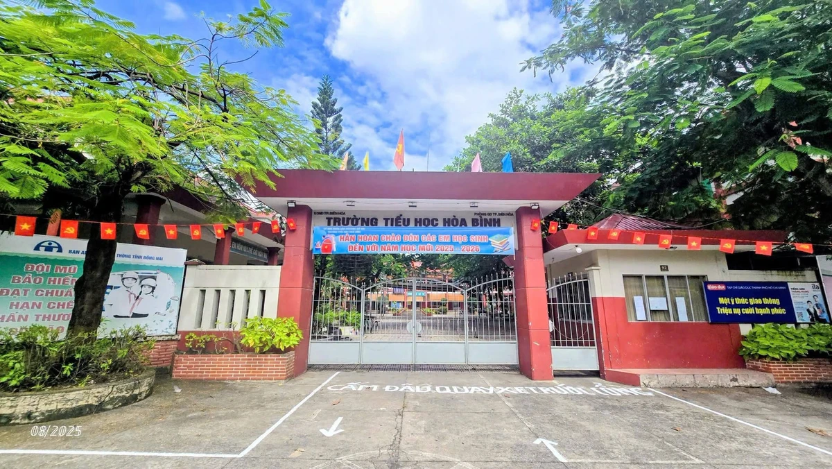 Bán nhà 1 trệt 2 lầu 228m² Hố Nai Biên Hòa, 6.5 tỷ - Ảnh thu nhỏ 3