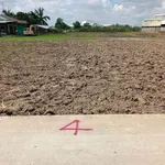 Bán lô đất thổ cư 145m² Lạc Tấn Tân Trụ Long An - Ảnh thu nhỏ 2