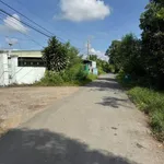 Bán 1000m² đất lúa Bến Lức Long An, mặt tiền kênh - Ảnh thu nhỏ 1