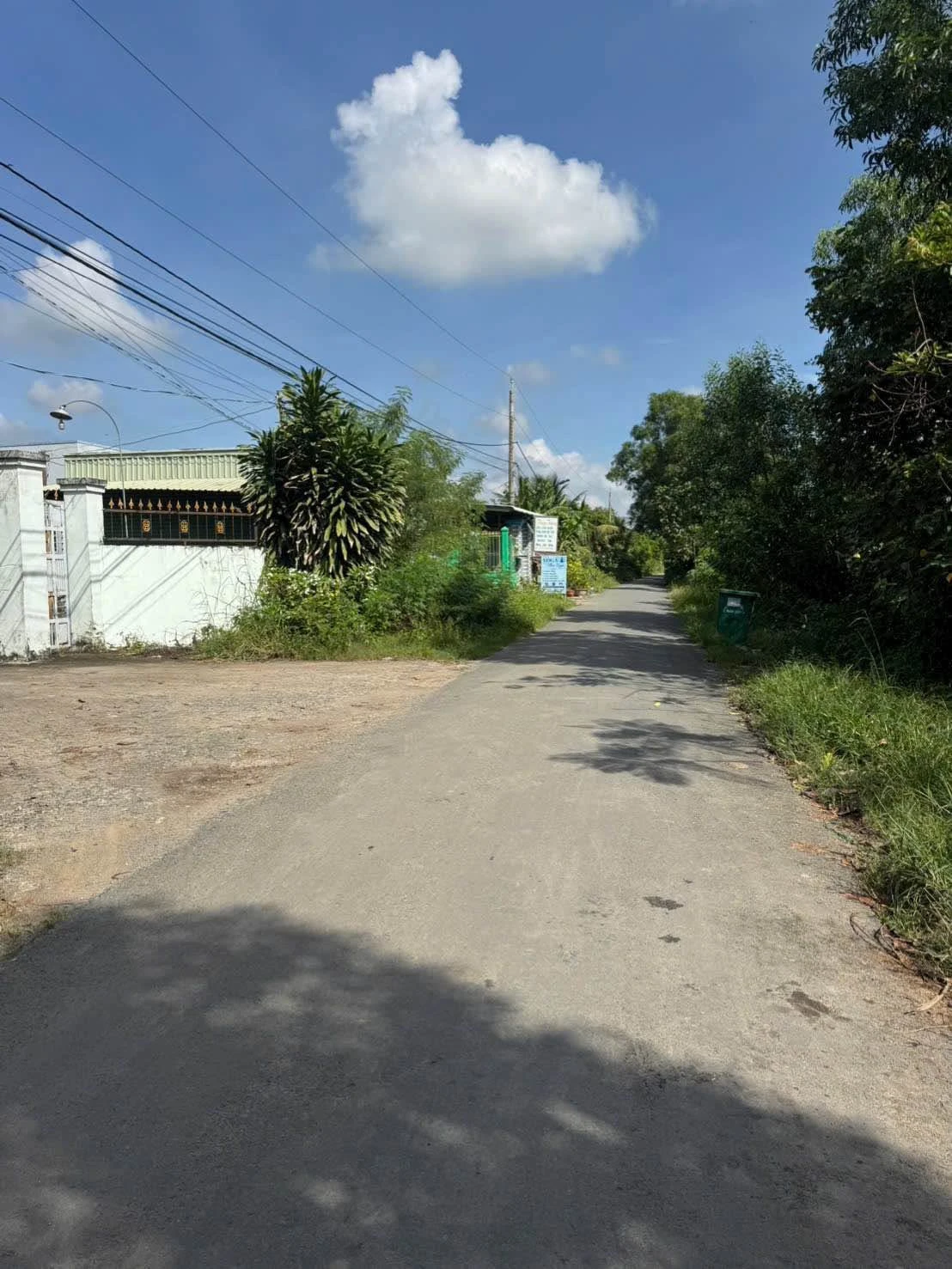 Bán 1000m² đất lúa Bến Lức Long An, mặt tiền kênh - Ảnh 1