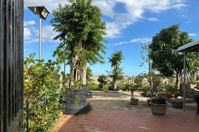 Bán đất vườn 978m² sổ riêng gần biển Phan Thiết