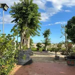 Bán đất vườn 978m² sổ riêng gần biển Phan Thiết - Ảnh thu nhỏ 1