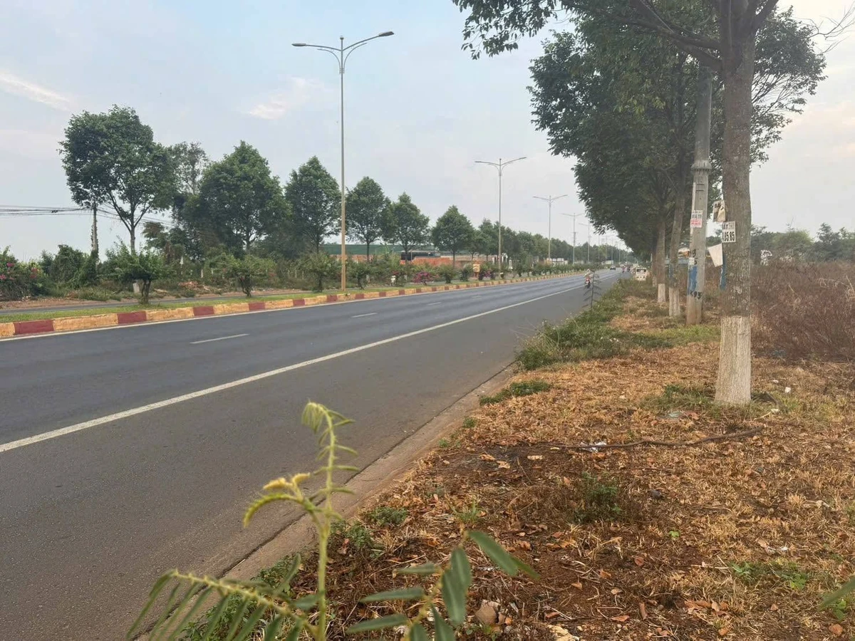 Bán đất 2 mặt tiền 4032 m² Buôn Ma Thuột 38 tỷ - Ảnh thu nhỏ 2