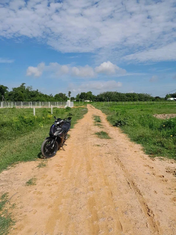 Bán đất Tây Ninh 1000m² 199 triệu An Cơ