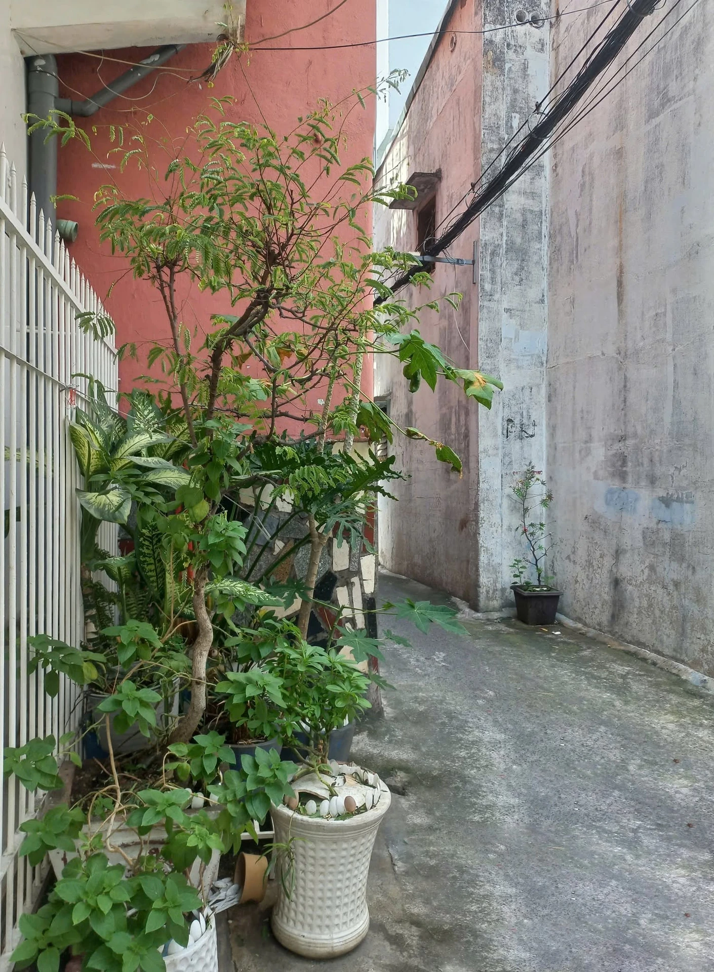 Bán căn hộ 32m² Phú Nhuận, 6,78 tỷ - Ảnh 1