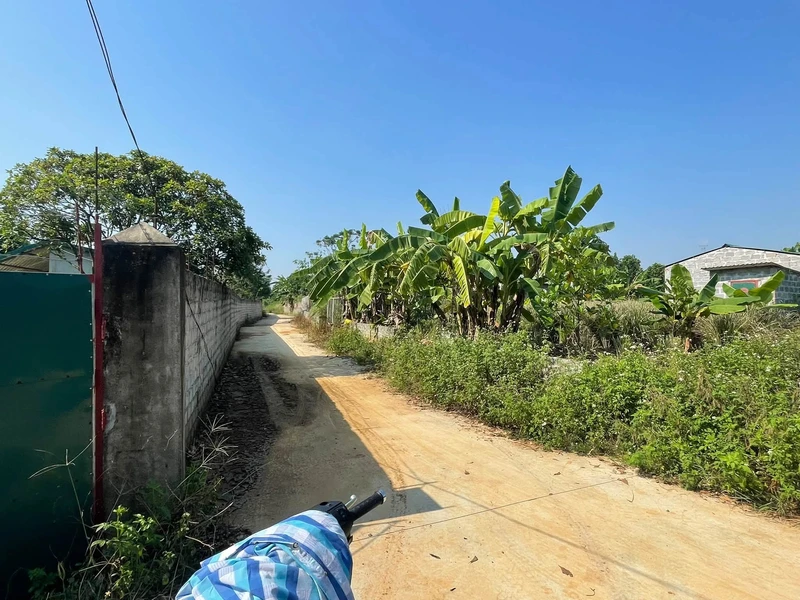 Bán đất chuyển đổi trang trại 3000m² Bạch Thạch Hà Nội
