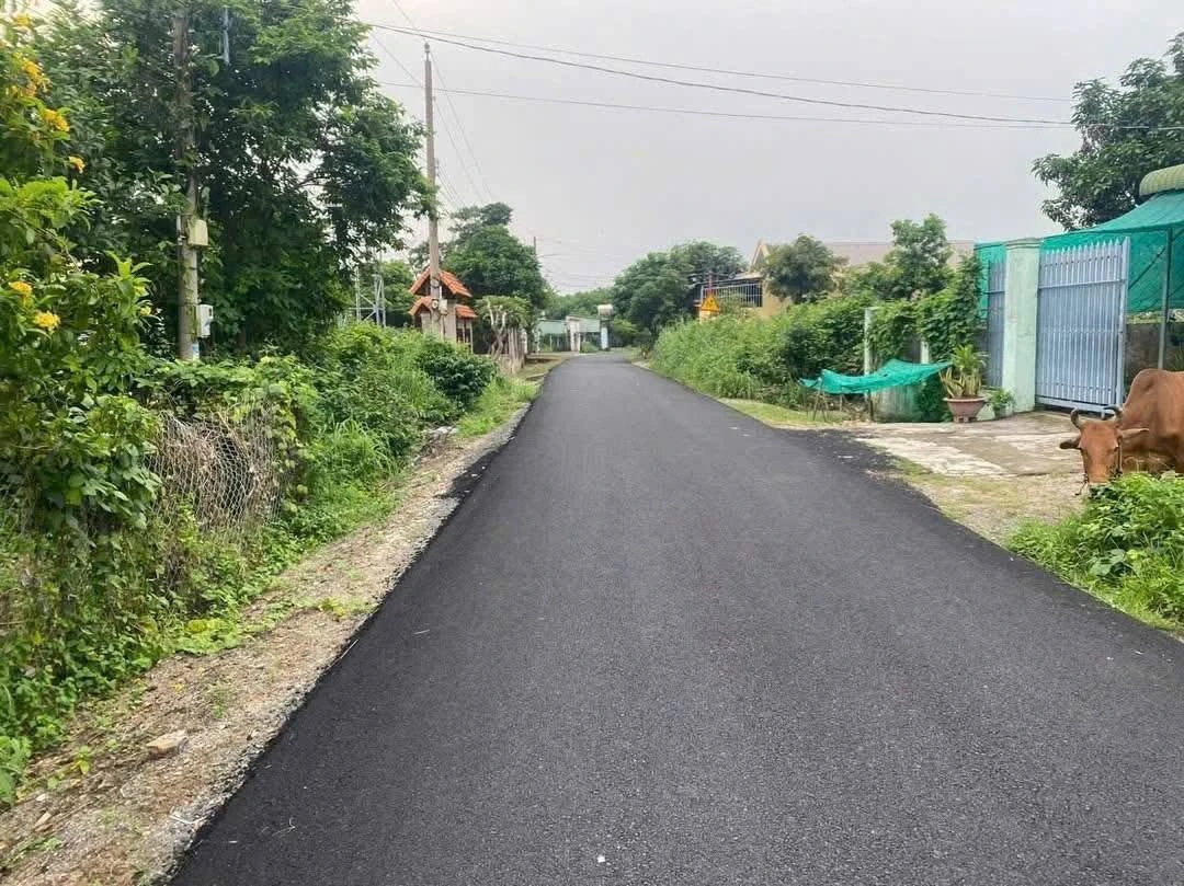 Bán nhà vườn 1360m² mặt tiền 6m Tân Hòa Phú Mỹ 2 tỷ 300 - Ảnh thu nhỏ 3