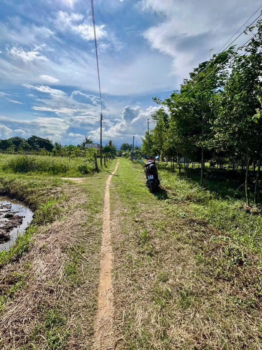 Bán đất sào Hàm Chính Bình Thuận 1000m², 190 triệu - Ảnh 1