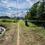 Bán đất sào Hàm Chính Bình Thuận 1000m², 190 triệu - Ảnh thu nhỏ 1